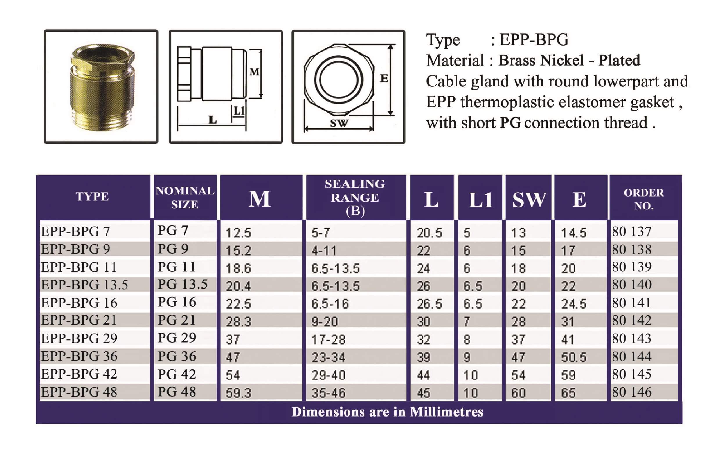 E.P.P - BPG Technical Datasheet