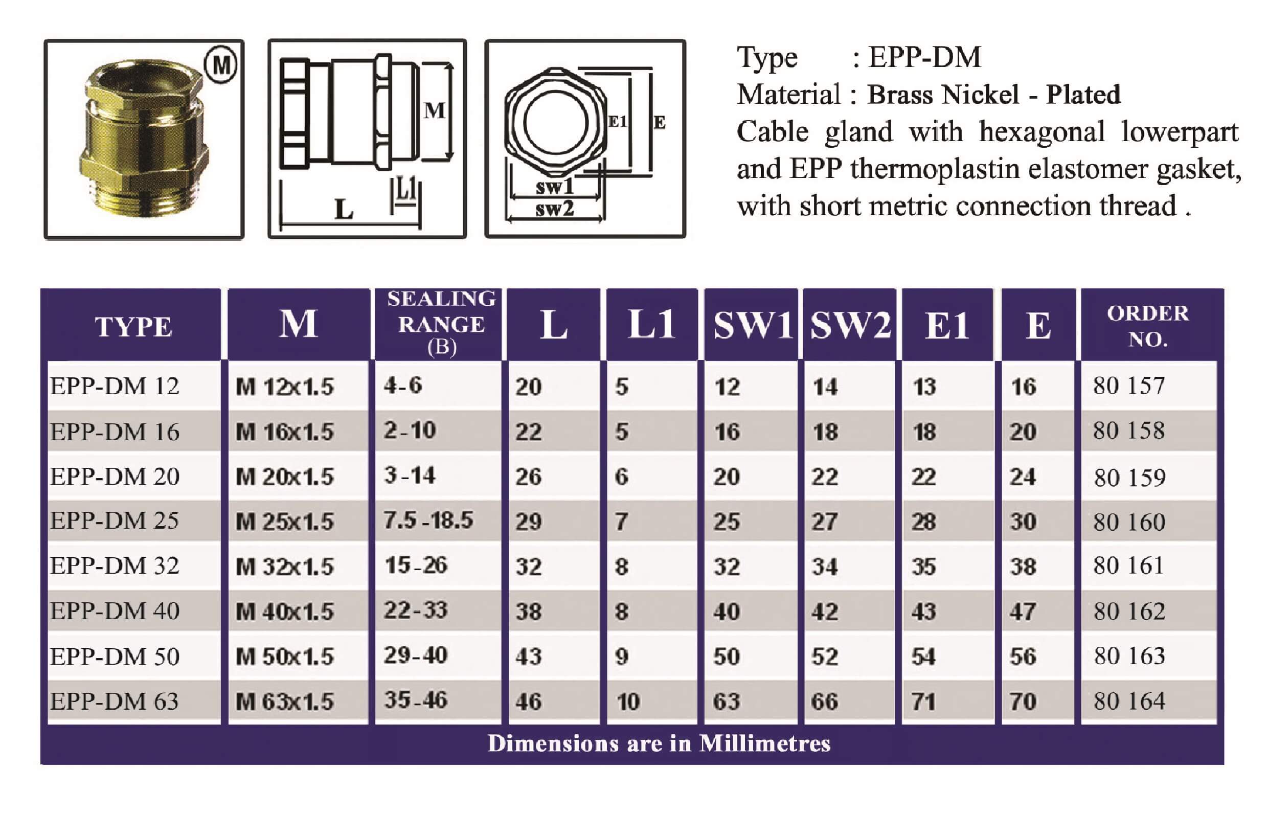 E.P.P - DM Technical Datasheet